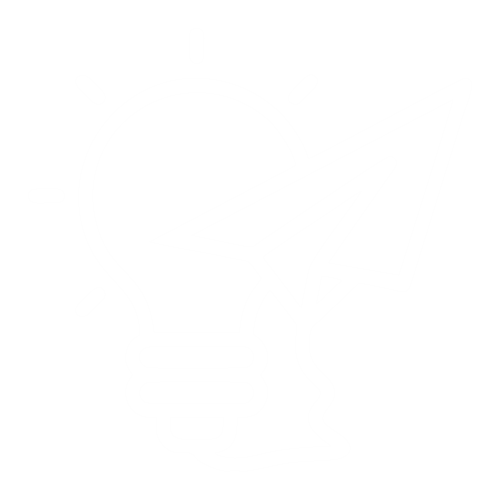 Vision Icon